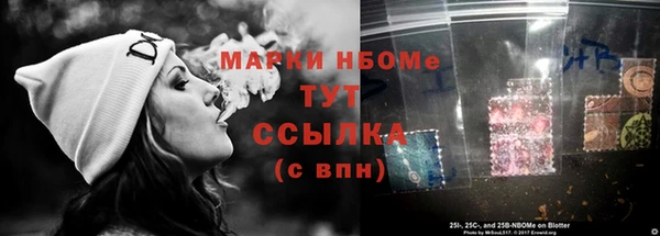 индика Приозерск