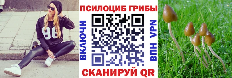 Галлюциногенные грибы Psilocybine cubensis  купить наркотик  Ак-Довурак 